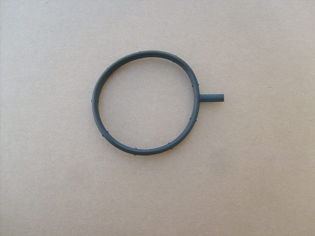 1008110-EG01