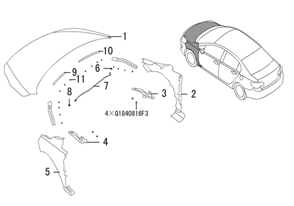 scheme for капот