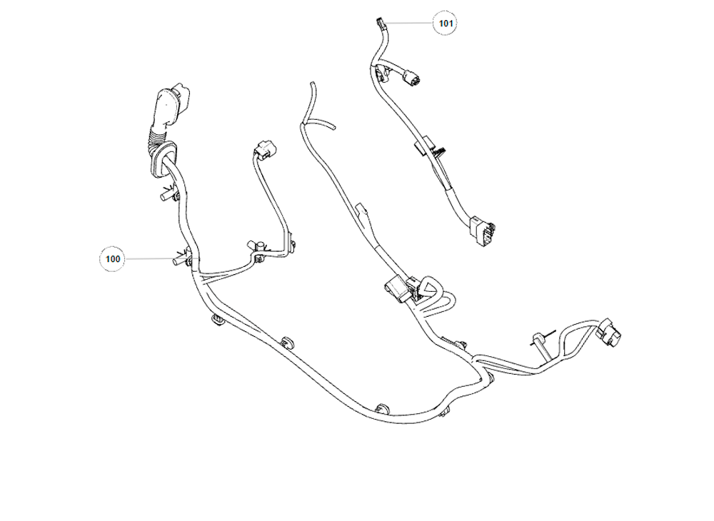 scheme for harness,LH RR door
