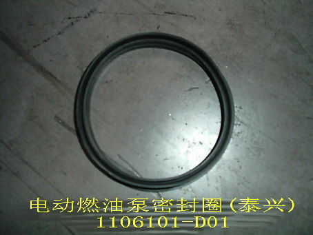 1106101-D01