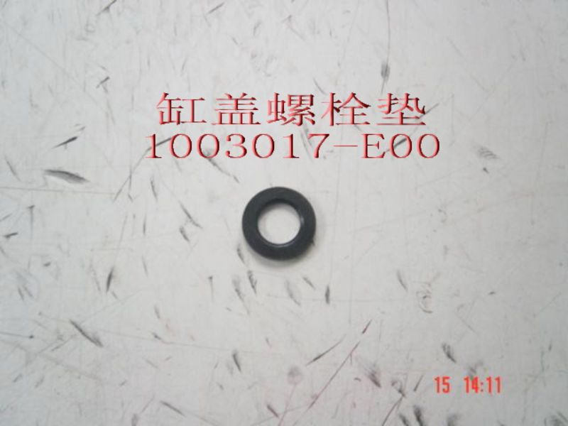1003017-E00