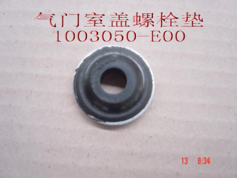 1003050-E00