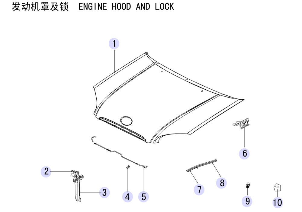 scheme for капот