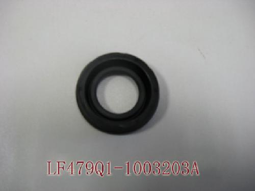 LF479Q1-1003203A