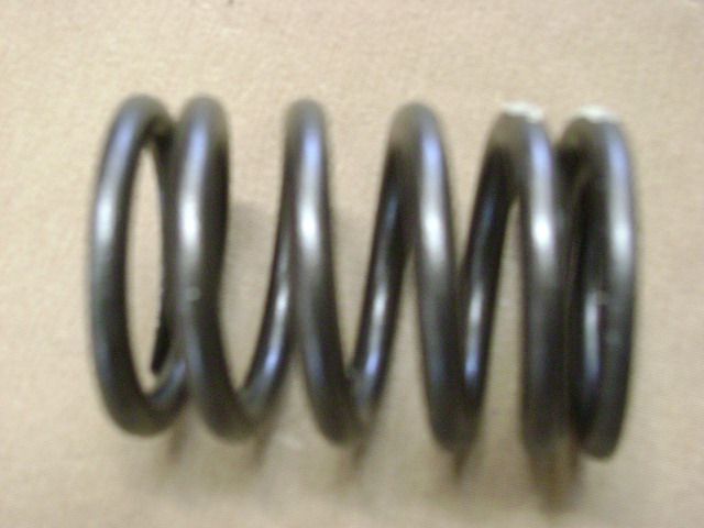 photo for 1003013-E02 -  VALVE SPRING