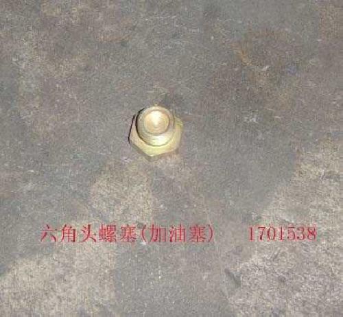 1701538 for SING GREAT WALL photo for 1701538 - HEXAGON HEADED SCREW(FVEL FILLER PLVG)