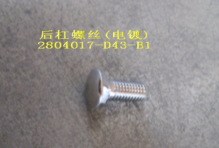 photo for 2804017-D43-B1 -  SCREW,REAR BUMPER (ELECTROPLATE)