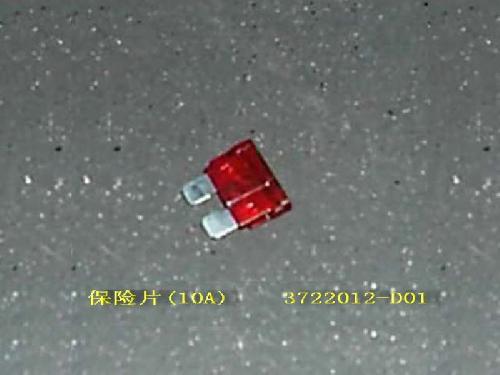 photo for 3722012-D01 - FUSE 10A ПРЕДОХРАНИТЕЛЬ (10A)