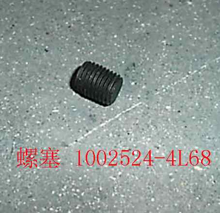 photo for 1002524-4L68 - PLUG