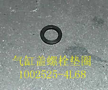 photo for 1002525-4L68 - BOLT WASHER-CYLINDER HEAD