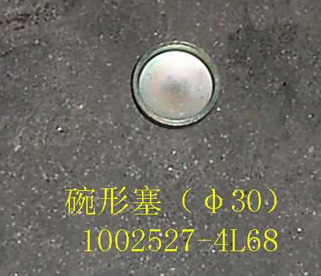 photo for 1002527-4L68 - BOWL SHAPE PLUG(Φ30)