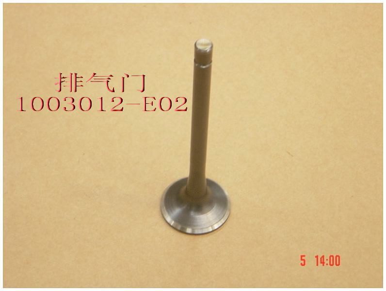 photo for 1003012-E02 - EXHAUST VALVE