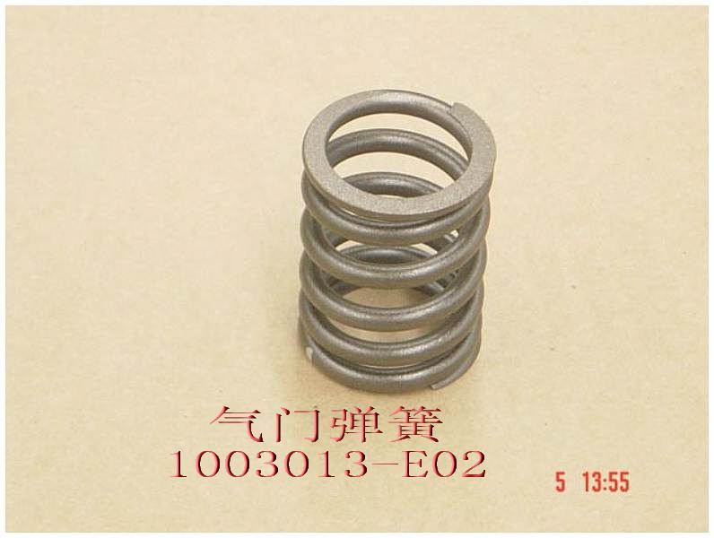 photo for 1003013-E02 - VALVE SPRG