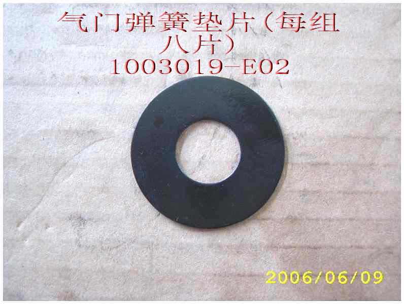 photo for 1003019-E02 - WASHER-VALVE SPRG