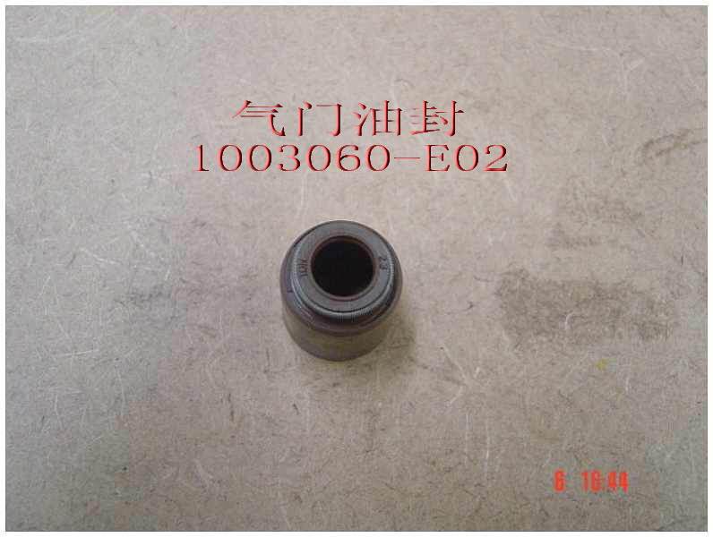 photo for 1003060-E02 - OIL SEAL-AIR VALVE
