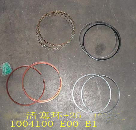 photo for 1004100-E00-B1 - PISTON RING SUB ASSY+25