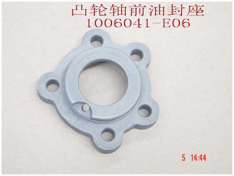 photo for 1006041-E06 - OIL SEAL SEAT-CAMSHAFT