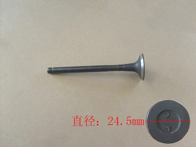 1007015-E10 for ENGINE GREAT WALL photo for 1007015-E10 - INTAKE VALVE