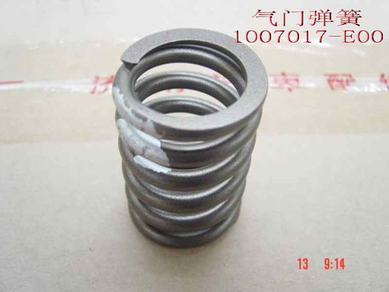 photo for 1007017-E00 - VALVE SPRG  /  пружина клапана 491 бензин