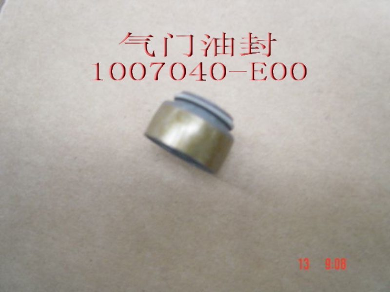 1007040-E00 for ENGINE GREAT WALL photo for 1007040-E00 - OIL SEAL-AIR VALVE / колпачок маслосъемный бензин 491
