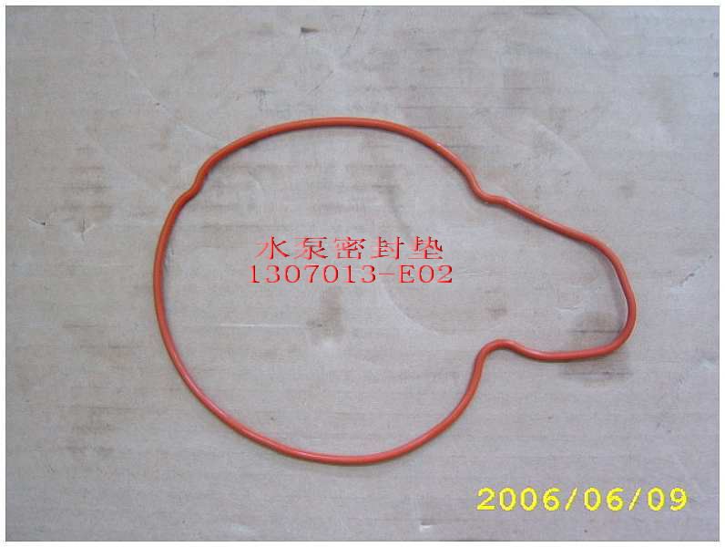 photo for 1307013-E02 - WATER PUMP SEAL RING  /  прокладка водяного насоса
