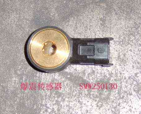 photo for SMW250130 -  SENSOR, KNOCKING  /  ДАТЧИК ДЕТОНАЦИИ