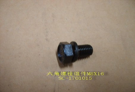 photo for SC-1701015 - HEXAGON BOLT ASSEMBLY (M8 X 16 )