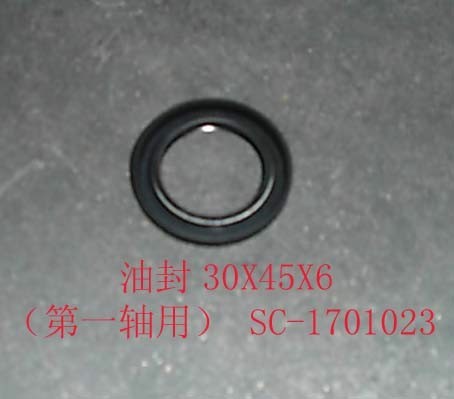 photo for SC-1701023 - OIL  SEAL (30 X 45 X 6 )  /  САЛЬНИК КПП ПЕРВИЧНОГО ВАЛА( 30*45*6) HOVER