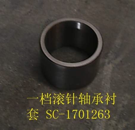 SC-1701263