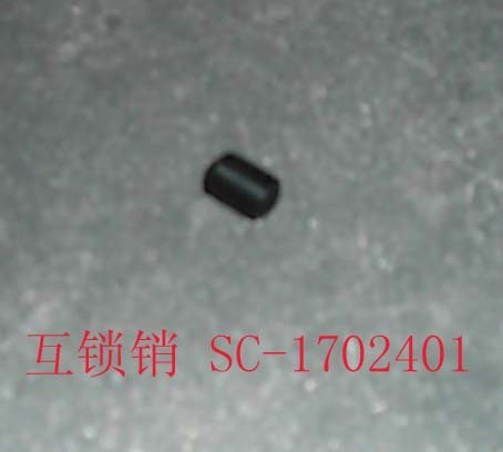photo for SC-1702401 - INTERLOCKING  PIN