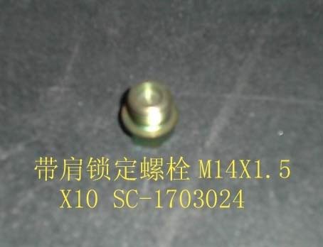 photo for SC-1703024 - Locked bolt with protuberance