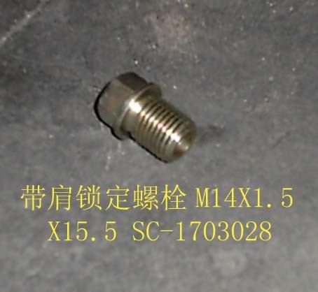 SC-1703028