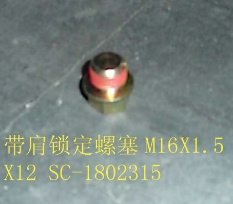 photo for SC-1802315 - SHOULDERED LOCK SCREW PLUG (M 16 X 1.5 X 12 )