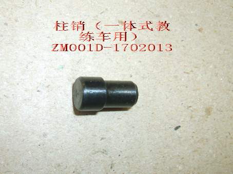 photo for ZM001D-1702013 - PIN