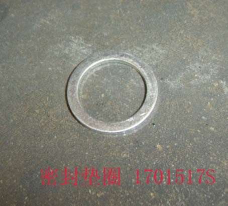 1701517S for PEGASUS GREAT WALL photo for 1701517S - SEAL WASHER