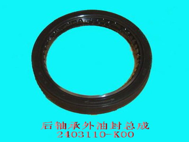 2403110-K00