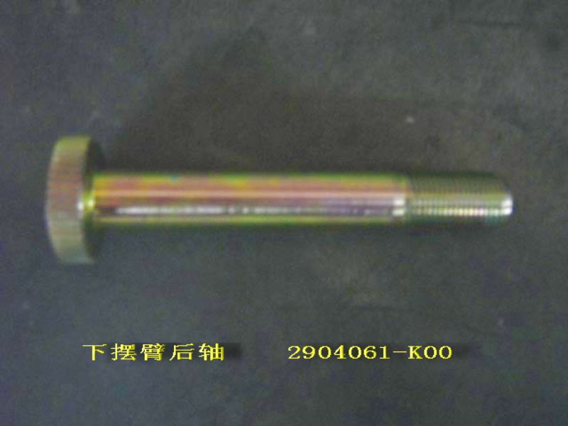 photo for 2904061-K00 - REAR SHAFT BUSHING ASSEMBLY, LOWER CONTROL   /  болт оси нижнего рычага передней подвески задний