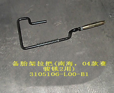 3105106-L00-B1
