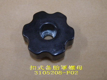 photo for 3105208-F02 -  SPARE TIRE COVER PLASTIC NUT