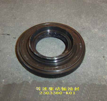 2303380-K01