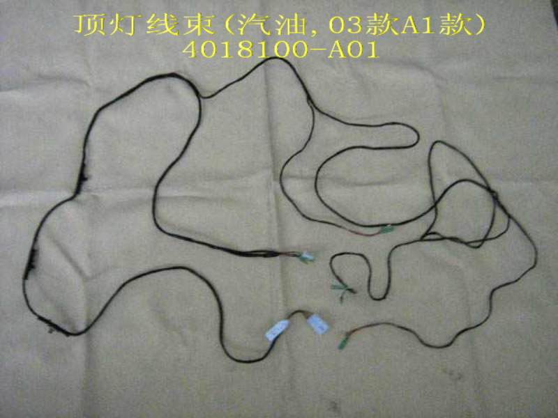 photo for 4018100-A01 - HARN ASSY-CEILING LAMP(GASOLINE 03A1)