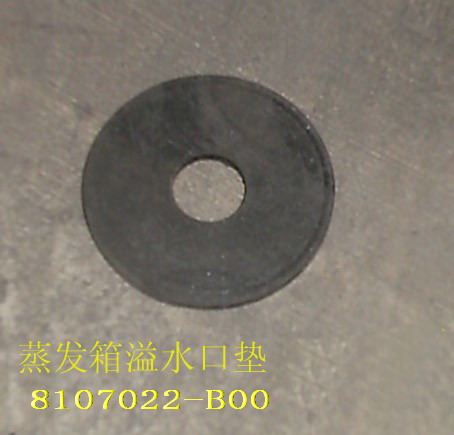 8107022-B00