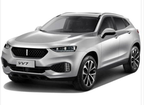 WEYVV7S GREAT WALL catalog fof WEYVV7S
