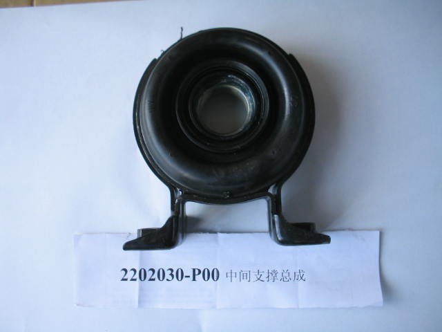 2202030-P00
