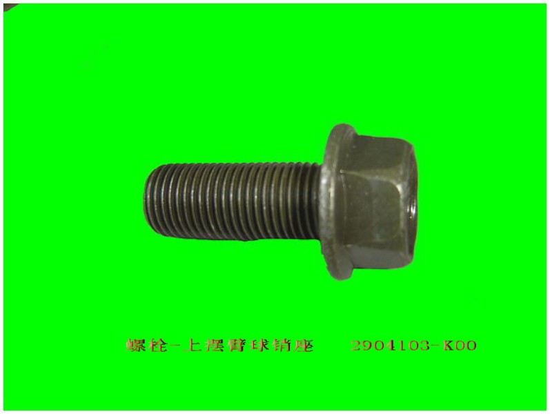 photo for 2904103-K00 - BOLT / болт шарнира передней подвески верхний
