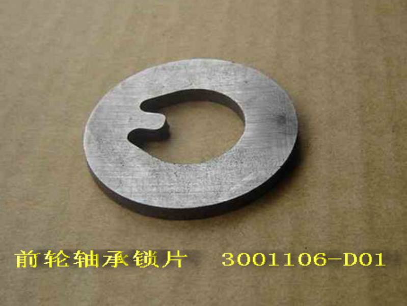 3001106-D01