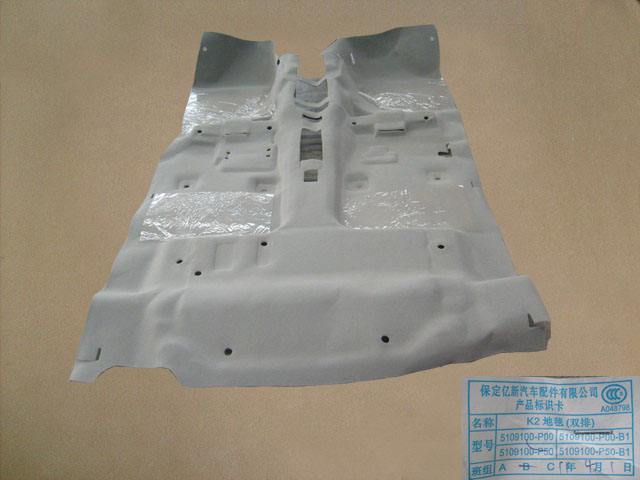 5109100-P50