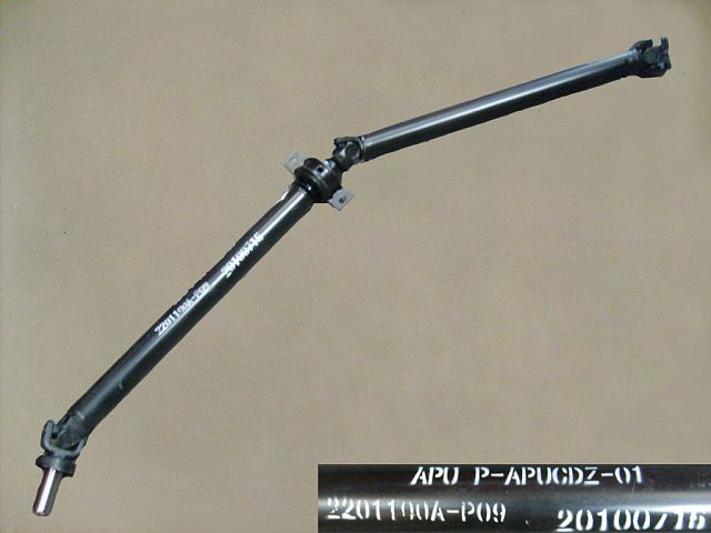 2201100A-P09