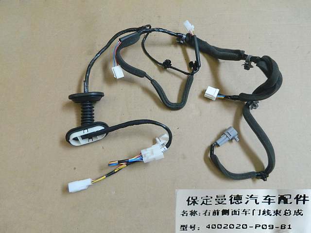 4002020-P09-B1