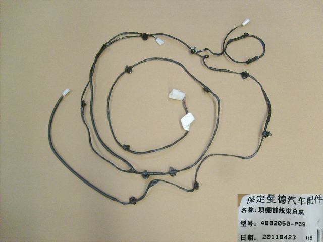 4002050-P09